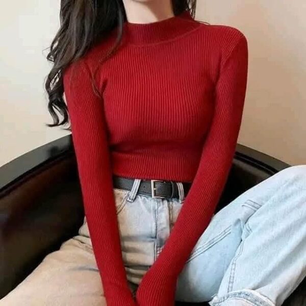 Premium Stretchable Ribbed Cotton Mock Neck Top for Women - Image 3